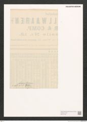 Diatomeae indet. Zeichnungen Sammlung Grunow (NHMW-BOT-W0370145)